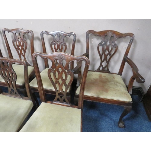 506 - A SET OF EIGHT ANTIQUE CHIPPENDALE STYLE DINING CHAIRS, with pierced splats, raised on cabriole supp... 