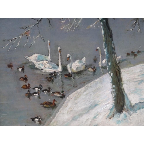 66 - VERNON WARD (1905-1985).  Winter lakeside scene with swans and ducks, signed on label verso, oil on ... 