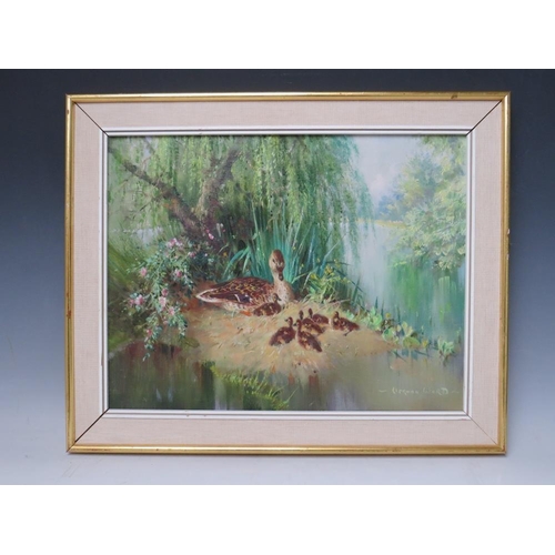 67 - VERNON WARD (1905-1985). Wooded river scene with duck and chicks 'Summer Babies', see verso, signed ... 