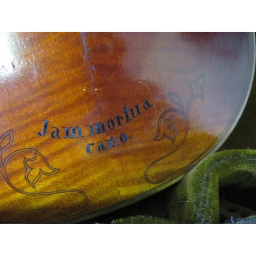 462 - A VINTAGE VIOLIN WITH TWO PIECE BACK, back L 35.5 cm, overall L 61 cm, inscribed on reverse, in a ma... 