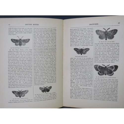 104 - H. NOEL HUMPHREYS - 'THE GENERA AND SPECIES OF BRITISH BUTTERFLIES', published by T. J. Allman, 31 h... 