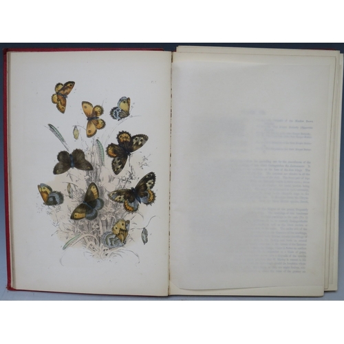 104 - H. NOEL HUMPHREYS - 'THE GENERA AND SPECIES OF BRITISH BUTTERFLIES', published by T. J. Allman, 31 h... 