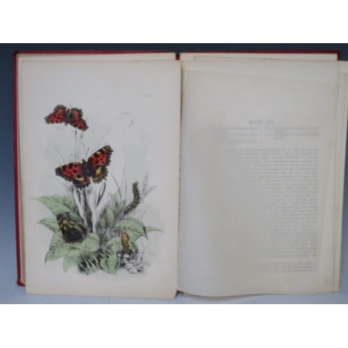 104 - H. NOEL HUMPHREYS - 'THE GENERA AND SPECIES OF BRITISH BUTTERFLIES', published by T. J. Allman, 31 h... 