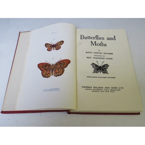 104 - H. NOEL HUMPHREYS - 'THE GENERA AND SPECIES OF BRITISH BUTTERFLIES', published by T. J. Allman, 31 h... 