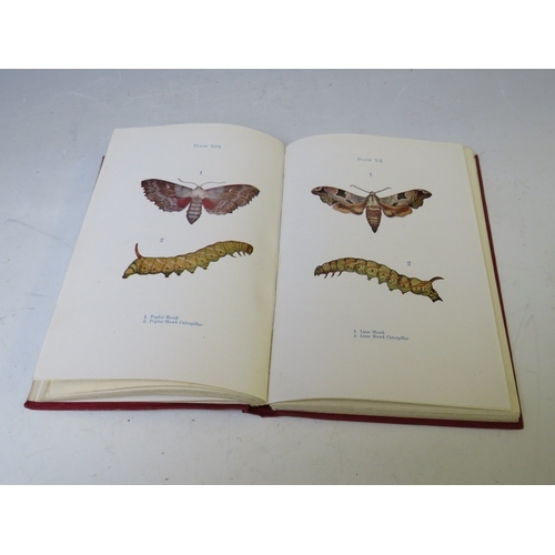 104 - H. NOEL HUMPHREYS - 'THE GENERA AND SPECIES OF BRITISH BUTTERFLIES', published by T. J. Allman, 31 h... 