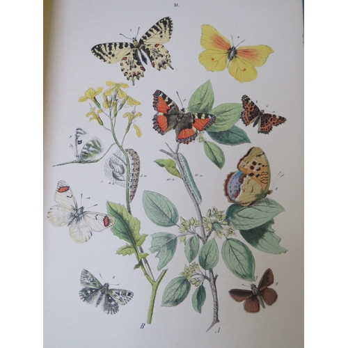 105 - W. F. KIRBY - 'European Butterflies & Moths' with 61 coloured plates, published by Cassell & Co. 188... 