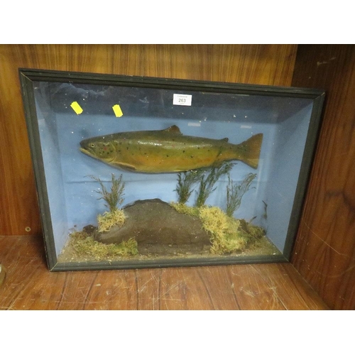 263 - A VINTAGE CASED FISH