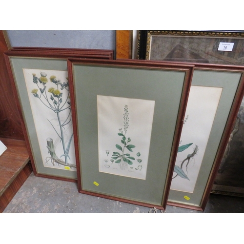 15 - A SET OF SIX FRAMED AND GLAZED BOTANICAL ENGRAVINGS