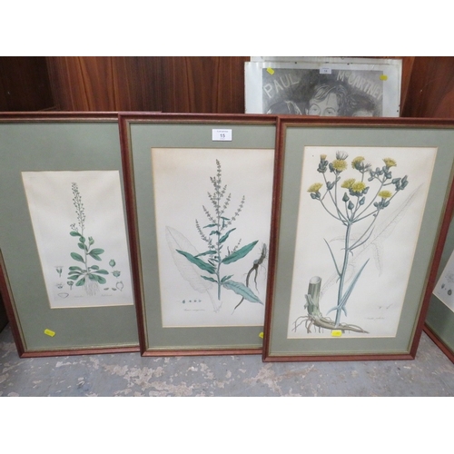 15 - A SET OF SIX FRAMED AND GLAZED BOTANICAL ENGRAVINGS