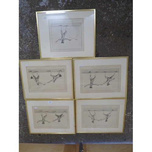 38 - FIVE LATE 18TH CENTURY FENCING INTEREST ENGRAVINGS ( IN LATER FRAMES ) SHOWING VARIOUS SCENES OF SWO... 