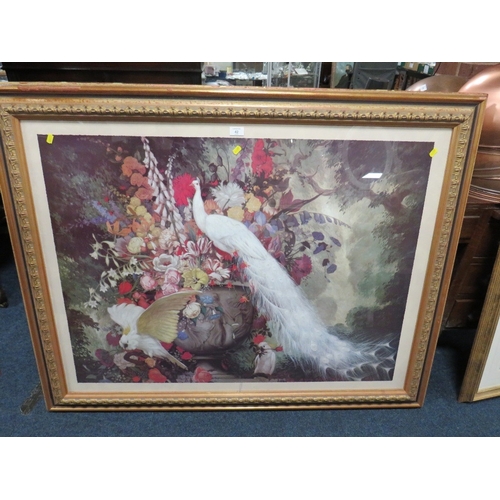 42 - A LARGE FRAMED AND GLAZED COLOURED PRINT DEPICTING A PEACOCK, PARROT ETC