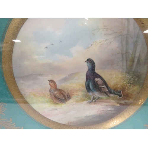 341 - A FRAMED MINTON CABINET PLATE DEPICTING BLACKCOCK SIGNED A HOLLAND