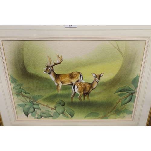 38 - THREE FRAMED WILDLIFE WATERCOLOURS TO INC DUCKS