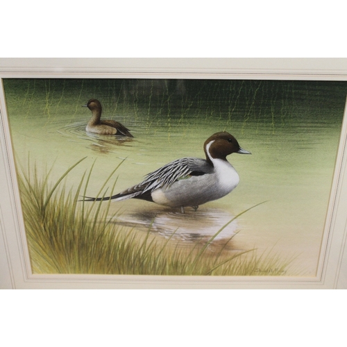 38 - THREE FRAMED WILDLIFE WATERCOLOURS TO INC DUCKS