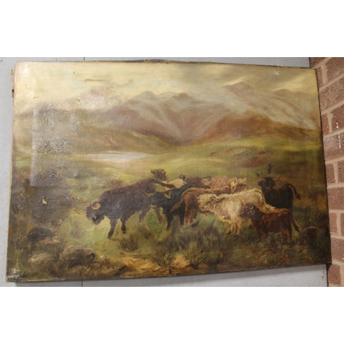 55 - AN UNFRAMED OIL ON CANVAS DEPICTING HIGHLAND CATTLE