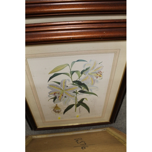 62 - EIGHT LARGE FRAMED BOTANICAL PRINTS TOGETHER WITH TWO FRAMED KNIGHTS IN HORSEBACK PRINTS (10)