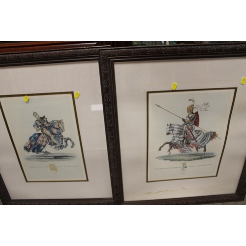 62 - EIGHT LARGE FRAMED BOTANICAL PRINTS TOGETHER WITH TWO FRAMED KNIGHTS IN HORSEBACK PRINTS (10)