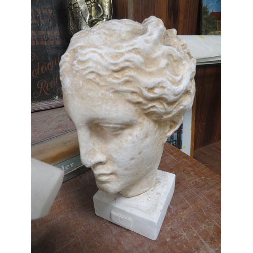 123 - TWO REPRODUCTION BUSTS