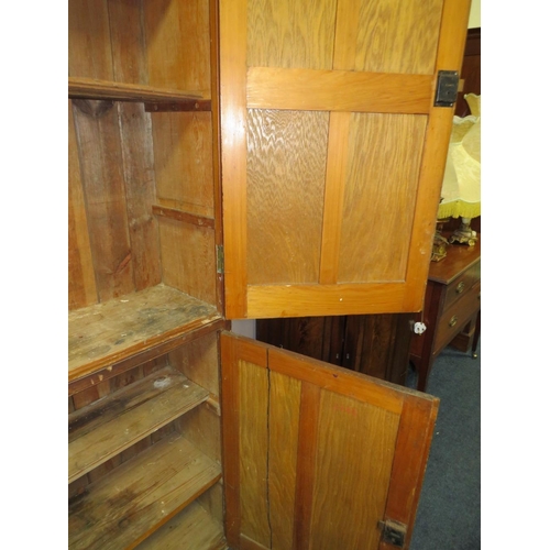 731 - A VINTAGE LARGE SCHOOL STYLE CUPBOARD - 213 X 130 CM