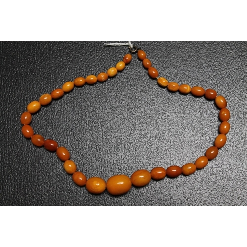 85 - A GRADUATING SET OF BUTTERSCOTCH AMBER BEADS, L 45 CM