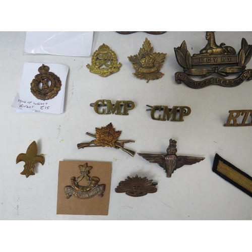 221 - A COLLECTION OF MILITARY BADGES