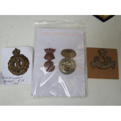221 - A COLLECTION OF MILITARY BADGES