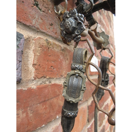 222 - A VICTORIAN ROYAL PARADE HORSE BRIDLE, decorated with silvered mounts and furniture, including the r... 