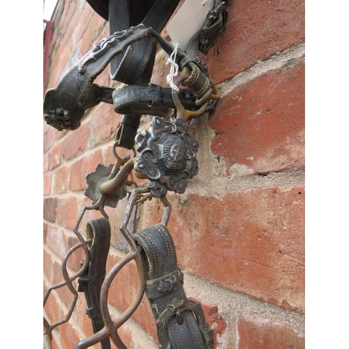 222 - A VICTORIAN ROYAL PARADE HORSE BRIDLE, decorated with silvered mounts and furniture, including the r... 