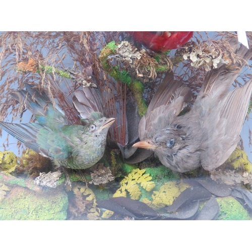 228 - TAXIDERMY INTEREST, a collection of three Taxidermy small birds in a naturalistic setting amongst dr... 