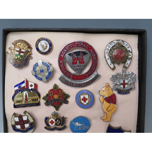 235 - A COLLECTION OF THIRTY FIVE METAL ENAMELLED BADGES, various subjects to include Jensen, B.M.W, RSPB ... 