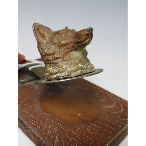 236 - AN EARLY 20TH CENTURY COLD PAINTED FOXES HEAD, as a letter clip on a wooden base, L 14 cm, H 6.5 cm