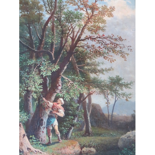 Lot 76        