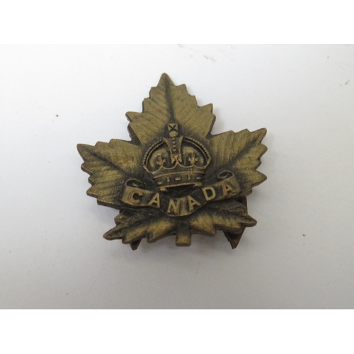 211 - A VICTORIAN ROYAL CANADIAN DRAGOONS HELMET PLATE CENTRE BADGE, with later brooch fitting and a small... 