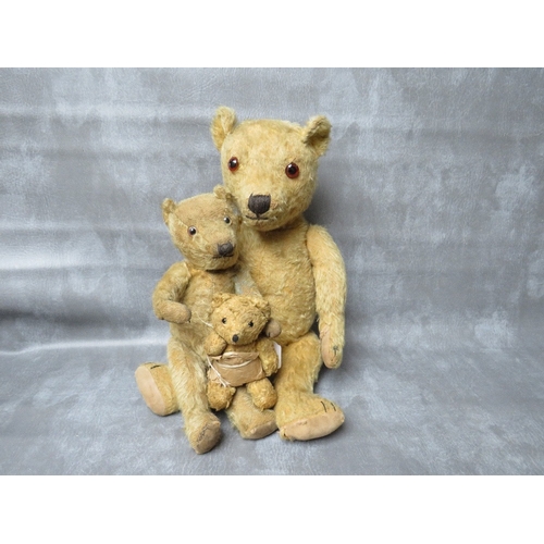 365 - A FAMILY OF THREE VINTAGE TEDDY BEARS, the tallest bear approx. H 54 cm, early 20th century straw fi... 