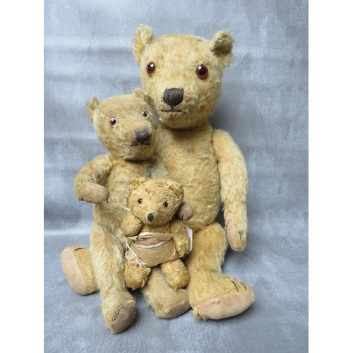 365 - A FAMILY OF THREE VINTAGE TEDDY BEARS, the tallest bear approx. H 54 cm, early 20th century straw fi... 