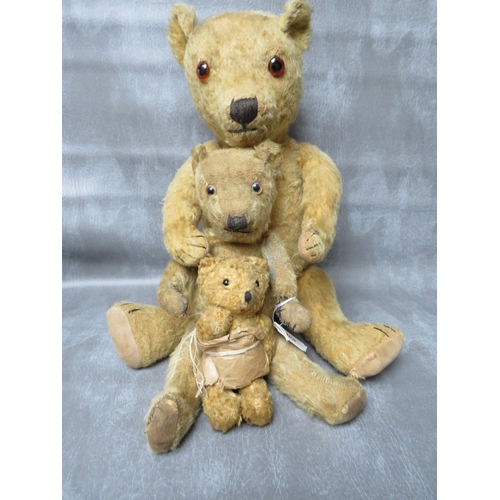 365 - A FAMILY OF THREE VINTAGE TEDDY BEARS, the tallest bear approx. H 54 cm, early 20th century straw fi... 