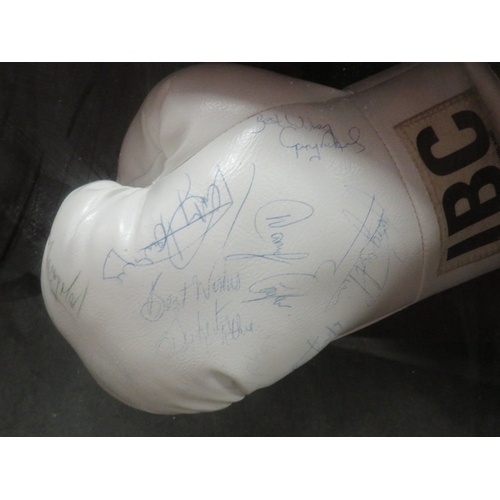 313 - A PAIR OF FRAMED BOXING GLOVES FROM A LONDON SHOW WITH MULTIPLE SIGNATURES, to include Terry Marsh, ... 