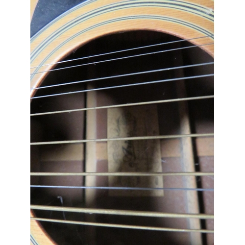 258 - AN AVIA 12 STRING ACOUSTIC GUITAR