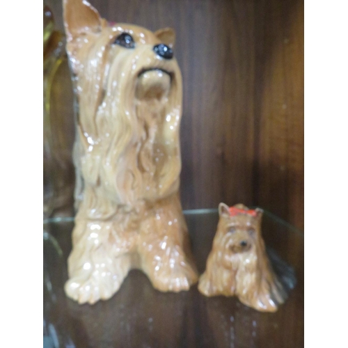 287 - A BESWICK FIRESIDE MODEL OF A YORKSHIRE TERRIER TOGETHER WITH A SMALLER EXAMPLE