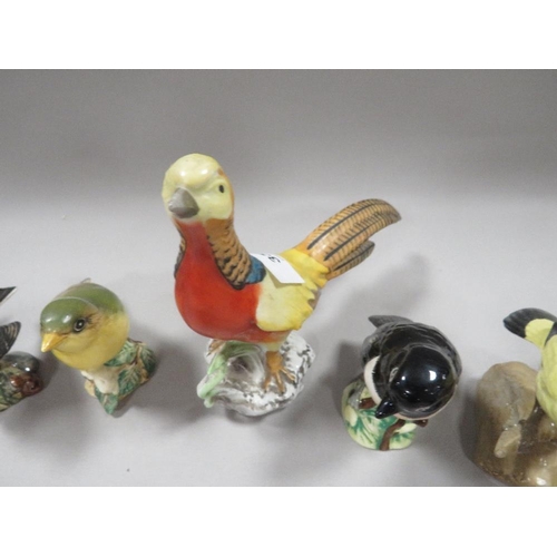 339 - A COLLECTION OF BESWICK BIRDS AND OTHERS (13)