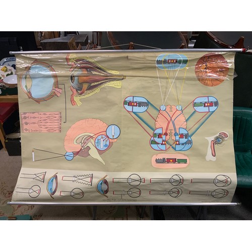 5 - A LARGE VINTAGE GERMAN MEDICAL / OPTHALMIC EDUCATIONAL POSTER 'TAFEL 4 DAS AUGE UND SEIVE LEISTUNGEN... 