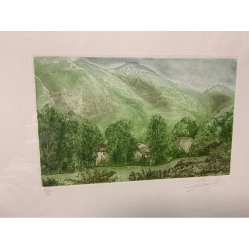 15 - A SET OF FOUR FRAMED AND GLAZED SIGNED LANDSCAPE ENGRAVINGS