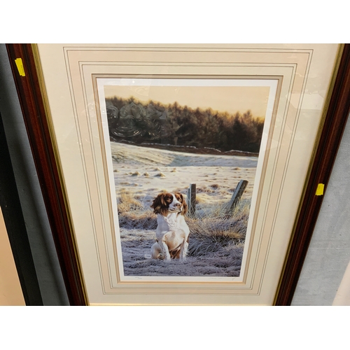 18 - Three framed and glazed limited edition dog prints by Steven Townsend and Nigel Hemming