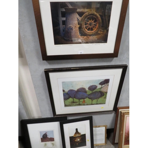 14 - A selection of framed and glazed pictures and prints to include limited edition examples