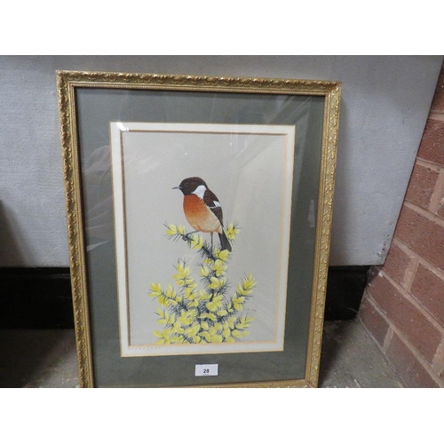 28 - Crank - A gilt framed and glazed watercolour of a stonechat on a gorse bush