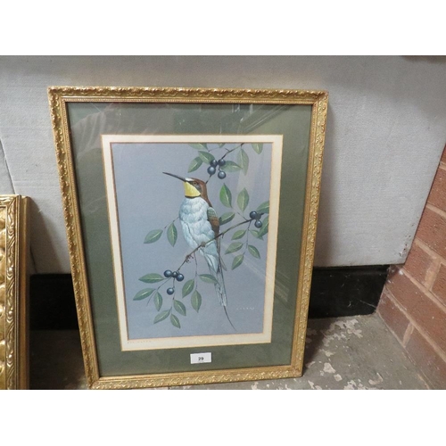 29 - Crank - A gilt framed and glazed watercolour of a bee eater on a gorse bush