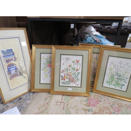 31 - A set of four gilt framed and glazed botanical watercolour studies and two other watercolours (4)