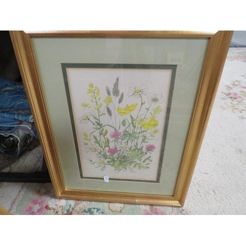 31 - A set of four gilt framed and glazed botanical watercolour studies and two other watercolours (4)