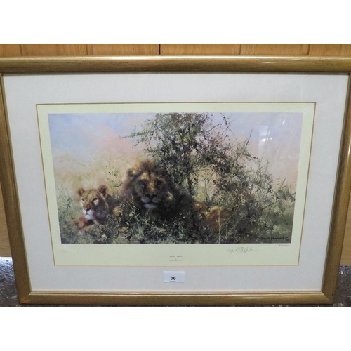 36 - A signed limited edition gilt framed and glazed David Shepherd print 'Cool Cats' 427 / 850