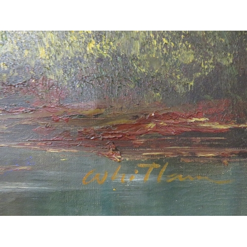 19 - A large retro style oil on canvas depict a woodland pond